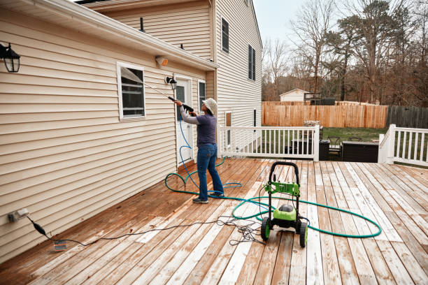 Best Local Pressure Washing Services  in South Rockwood, MI
