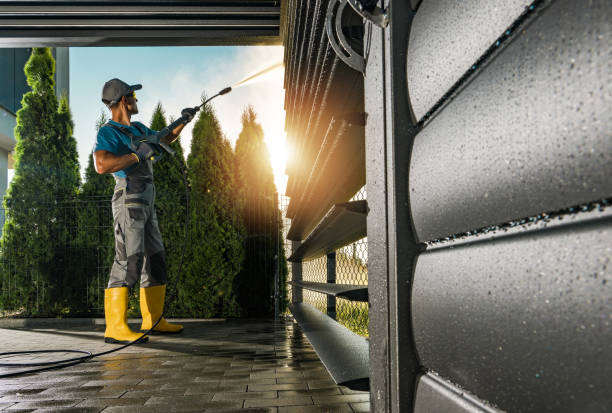 Best Concrete Pressure Washing  in South Rockwood, MI
