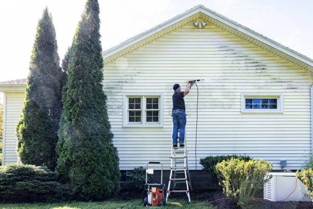 Pressure Washing Brick in South Rockwood, MI