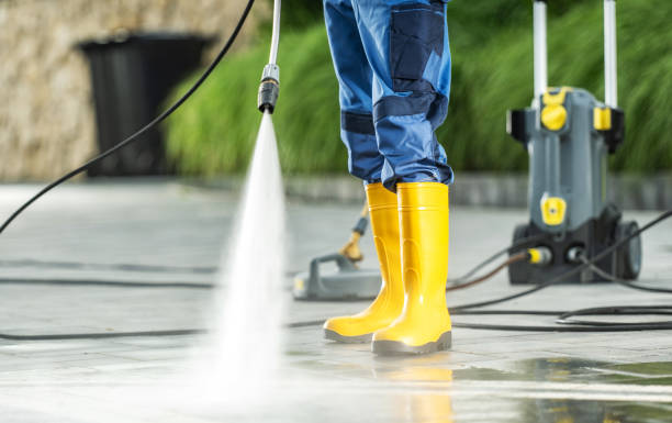 Best Roof Pressure Washing  in South Rockwood, MI